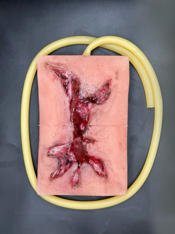 Riss Wound Packing Trainer