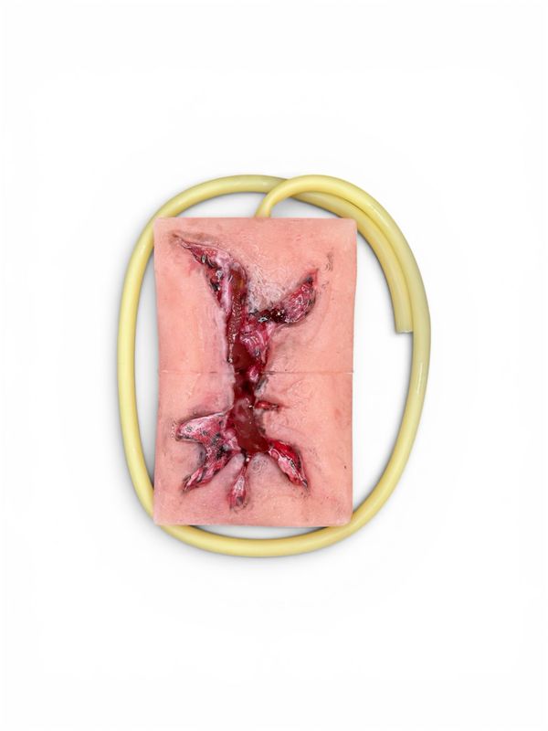 Riss Wound Packing Trainer