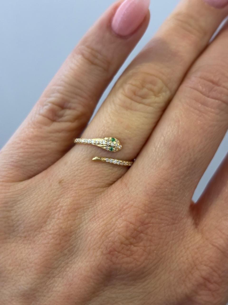Anillo Serpiente