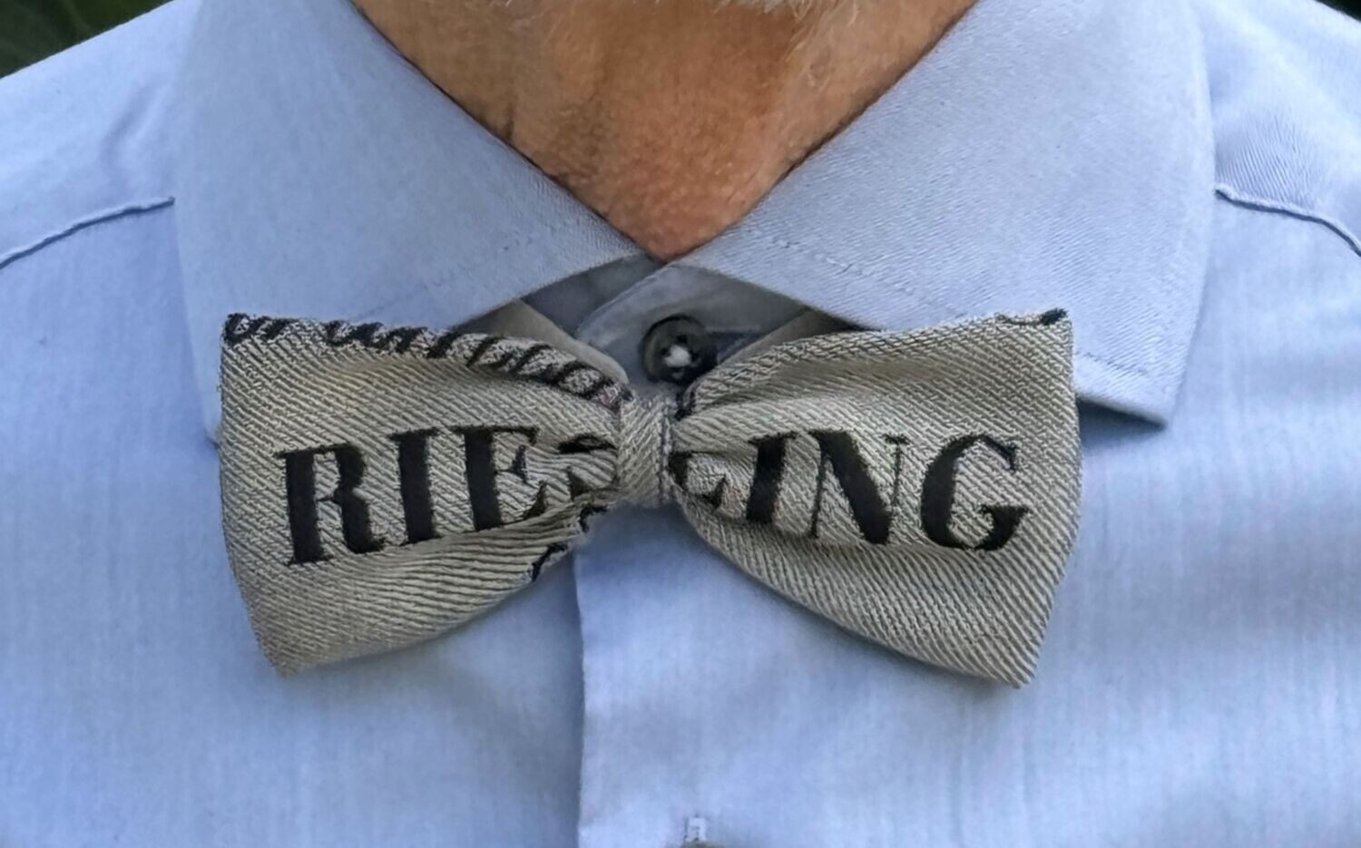 Riesling - Fliege