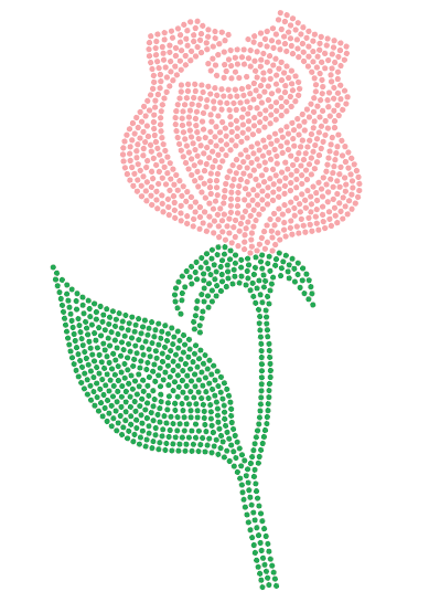 Rose ss6