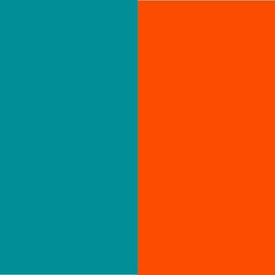 Dolphins