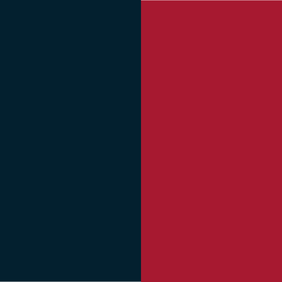 Texans