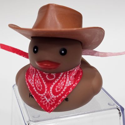 Colt's Canyon Drip Collection 🤠