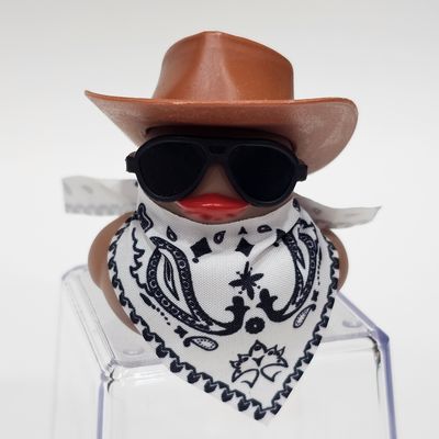 🤠 Colt's Canyon Drip Collection