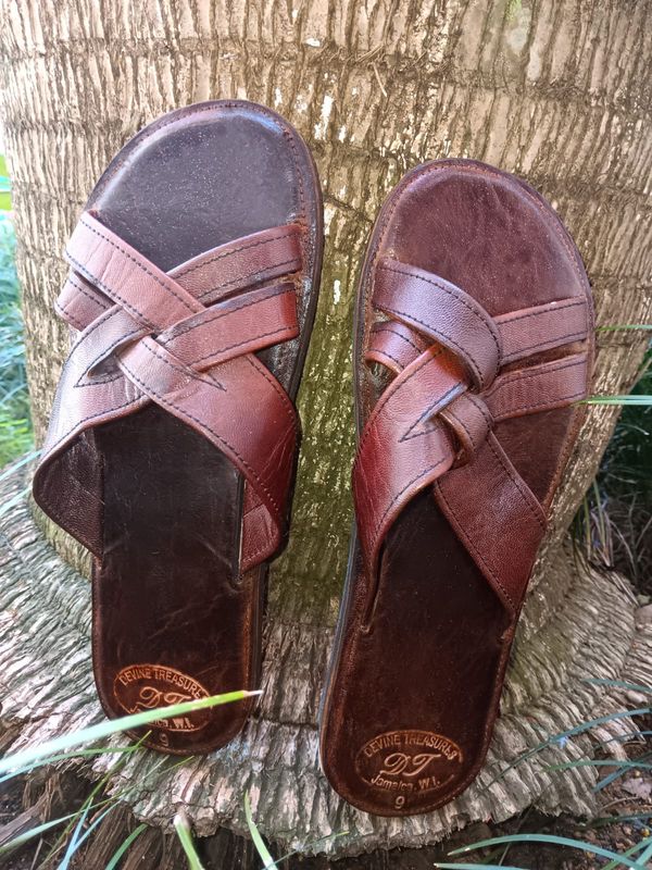 Male Brown x slipper