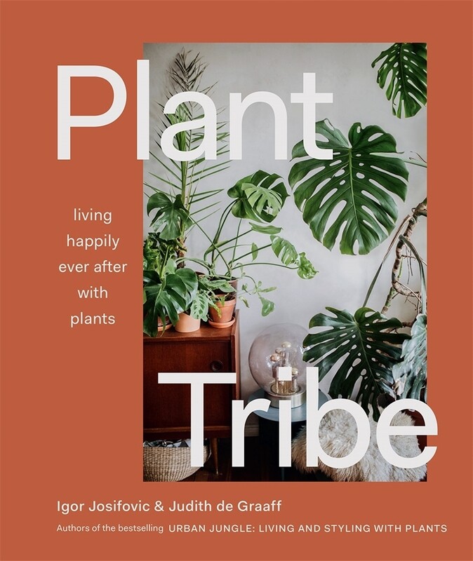 Plant tribe