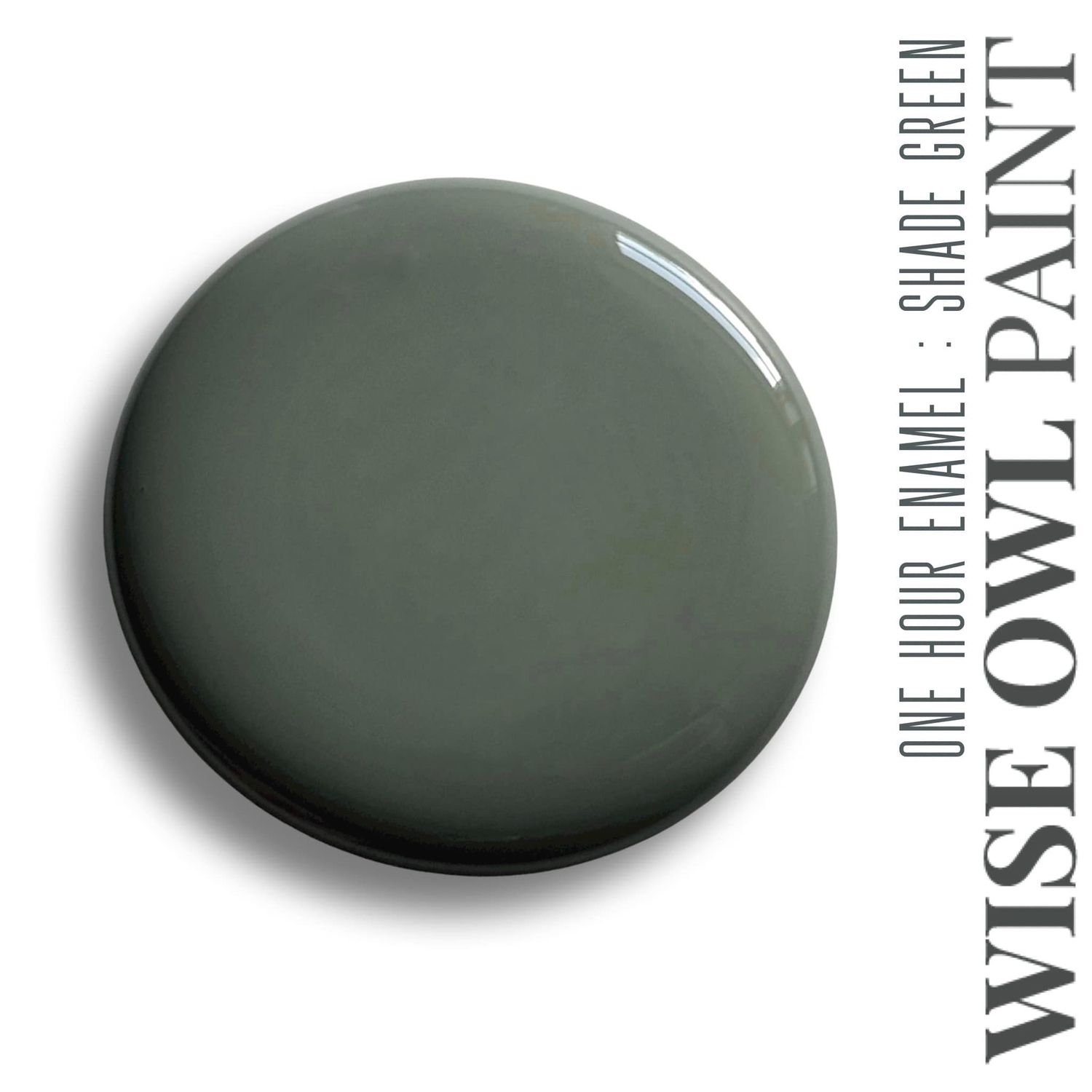  a shaded green paint bloop, it is smokey and shaded green. Its bold while not being too bold!