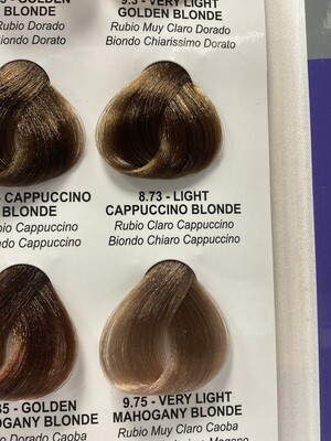 Lady Republic Cream Permanent Hair Color Light cappuccino blonde 8.73