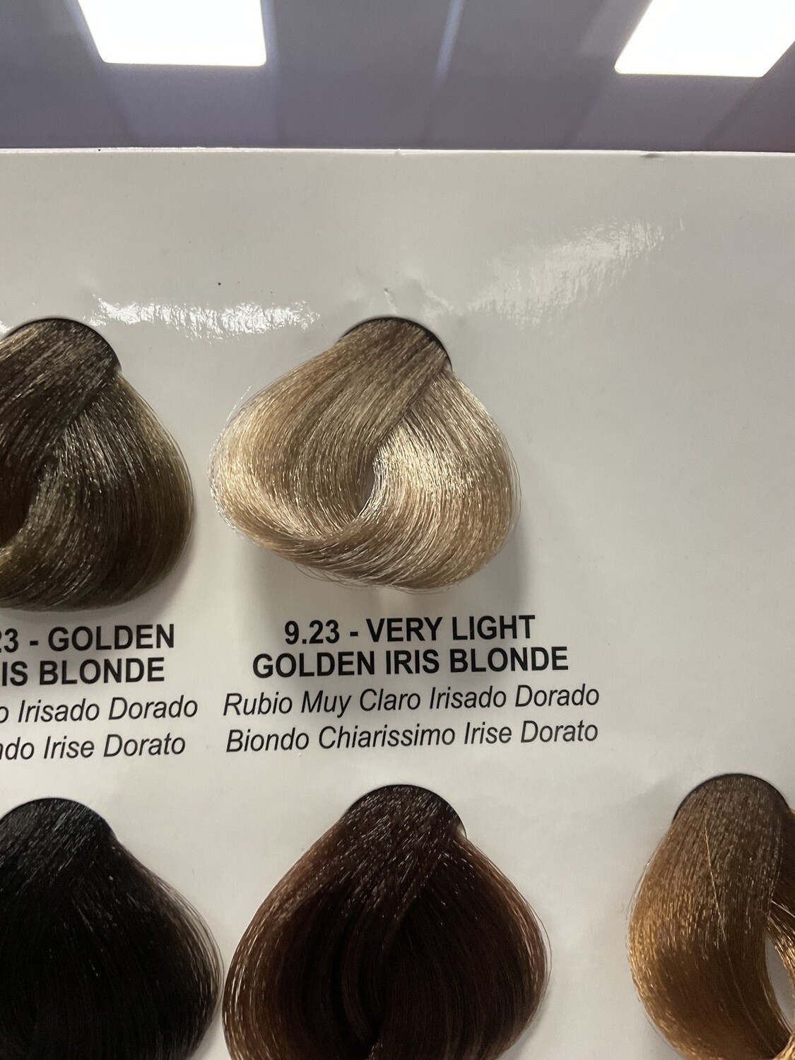 Lady Republic Hair Color Very Light Golden Iris Blonde 9.23