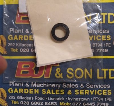 OIL SEAL   17X25X04MM