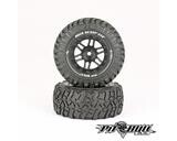 Pit Bull Tires Rock Beast XOR 2.2/3.0 Premounted Short Course Tires (2) (Basher)