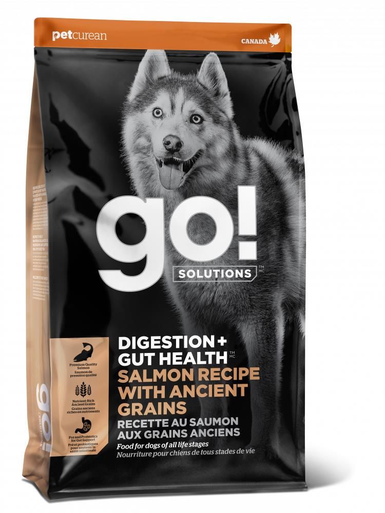 Go! Solutions Digestion + Gut Health Salmon with Ancient Grains Dog 22 lb