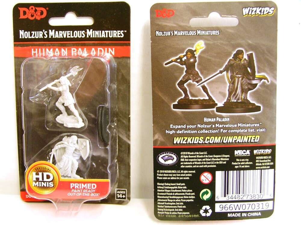 Human Paladin - 73830