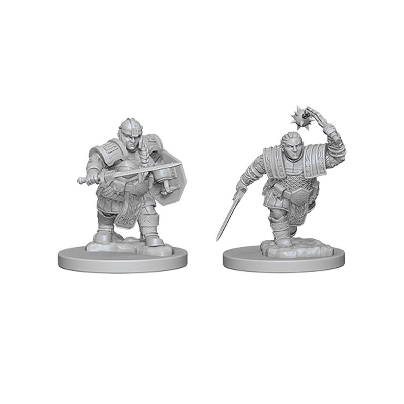 Dwarf Fighter 72617