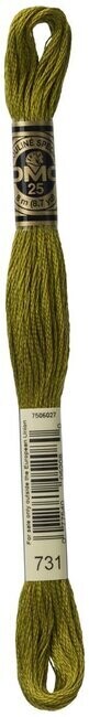 DMC 731 Dark Olive Green