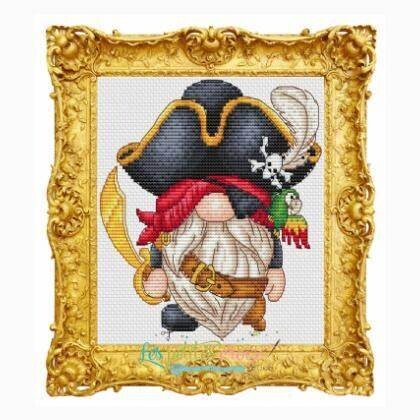 Gnome Pirate