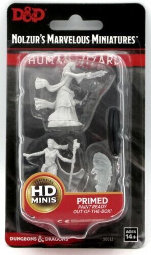 Human Wizard - 90012