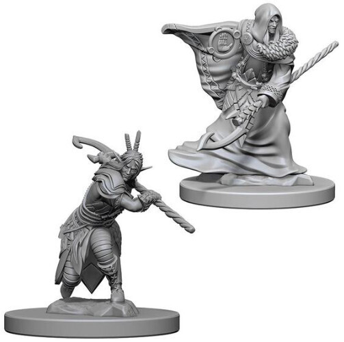 Elf Druid - 72641