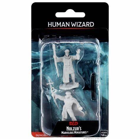 Human Wizard 90137