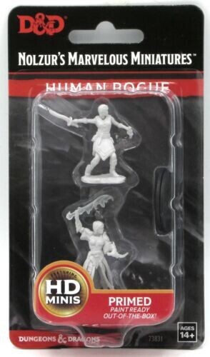 Human Rogue 73831