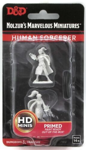Human Sorcerer - 73832