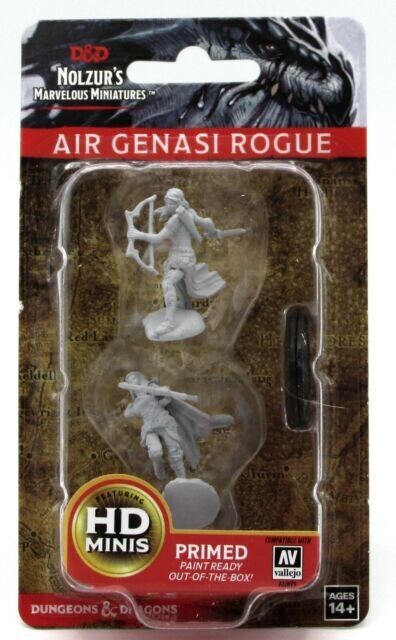 Air Genasi Rogue - 73204