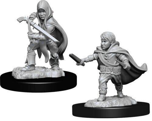 Halfling Rogue 90139