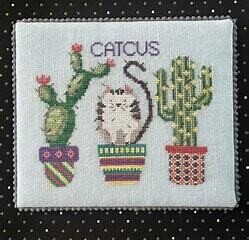 Catcus