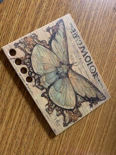 Moth Thread Keep