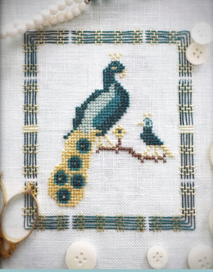 Petite Peacock