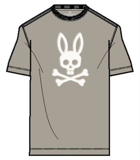 PSYCHO BUNNY EMMANUEL GRAPHIC TEE, Color: STONE, Size: 4
