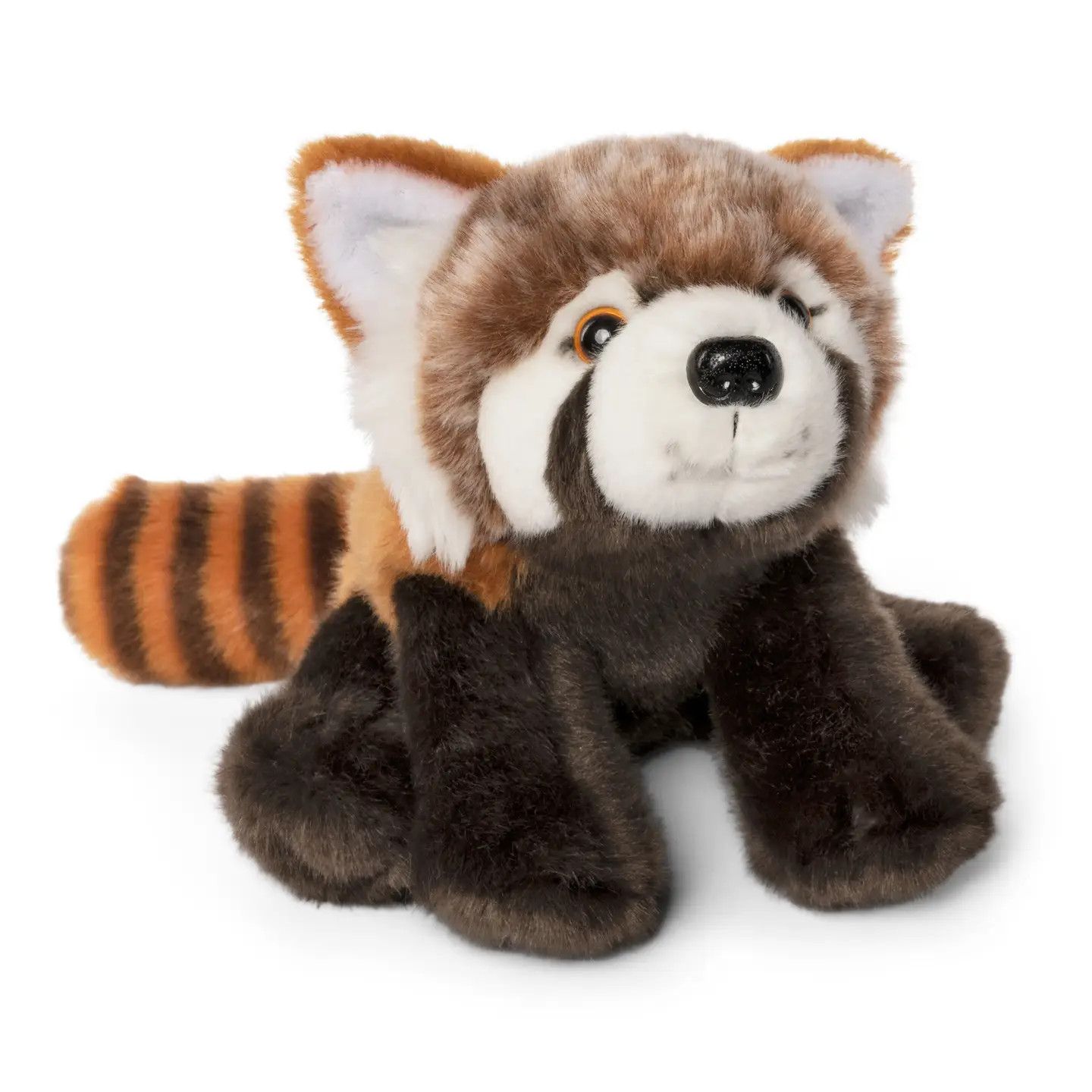 Red Panda