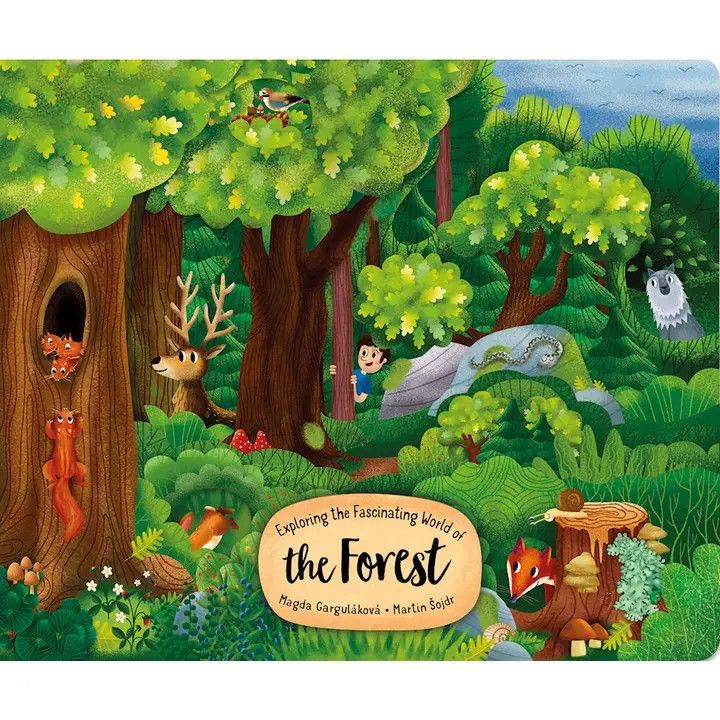 Explore Forest, Color: Book, Size: O/S