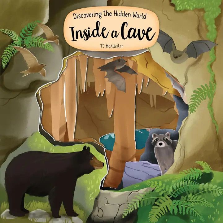 Discover Cave, Color: Book, Size: O/S
