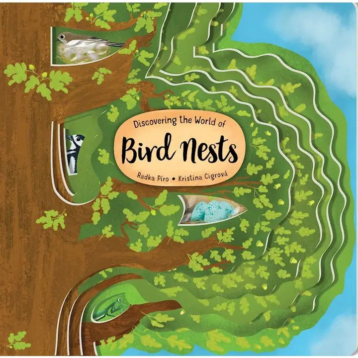 Discover Bird Nests, Color: Book, Size: O/S