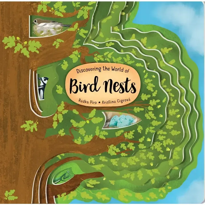 Discover Bird Nests
