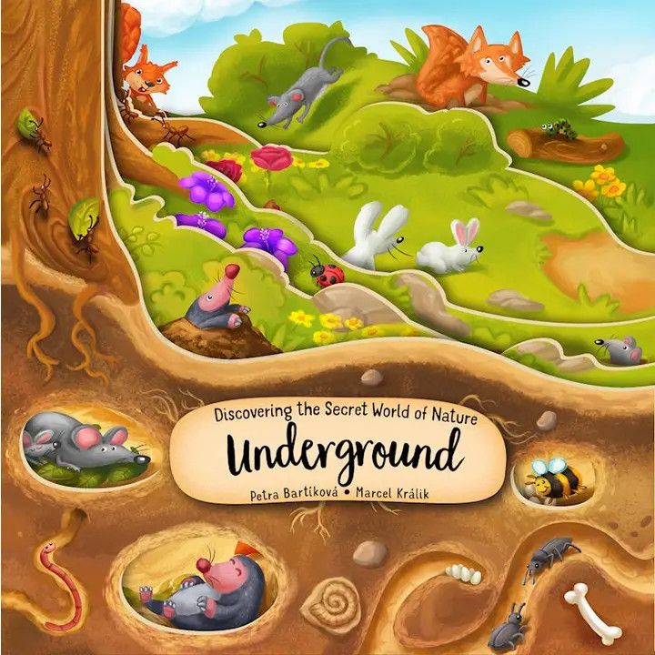 Discover Underground, Color: Book, Size: O/S