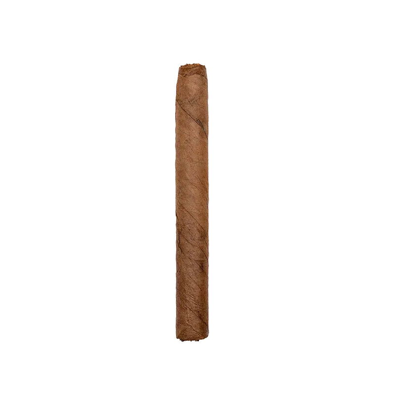 PRINCIPES CORONA BY LA AURORA