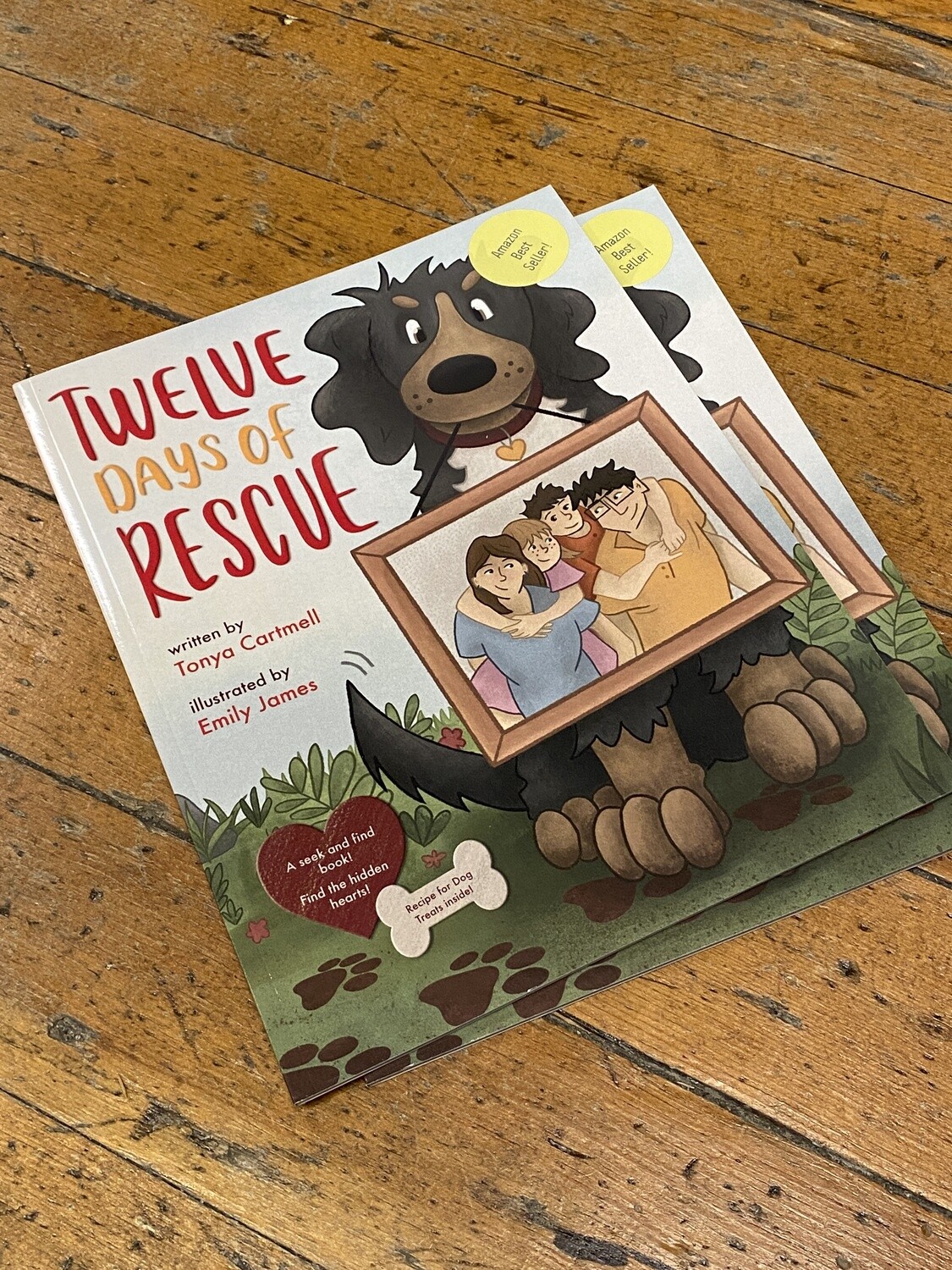 🇨🇦 Twelve Days of Rescue