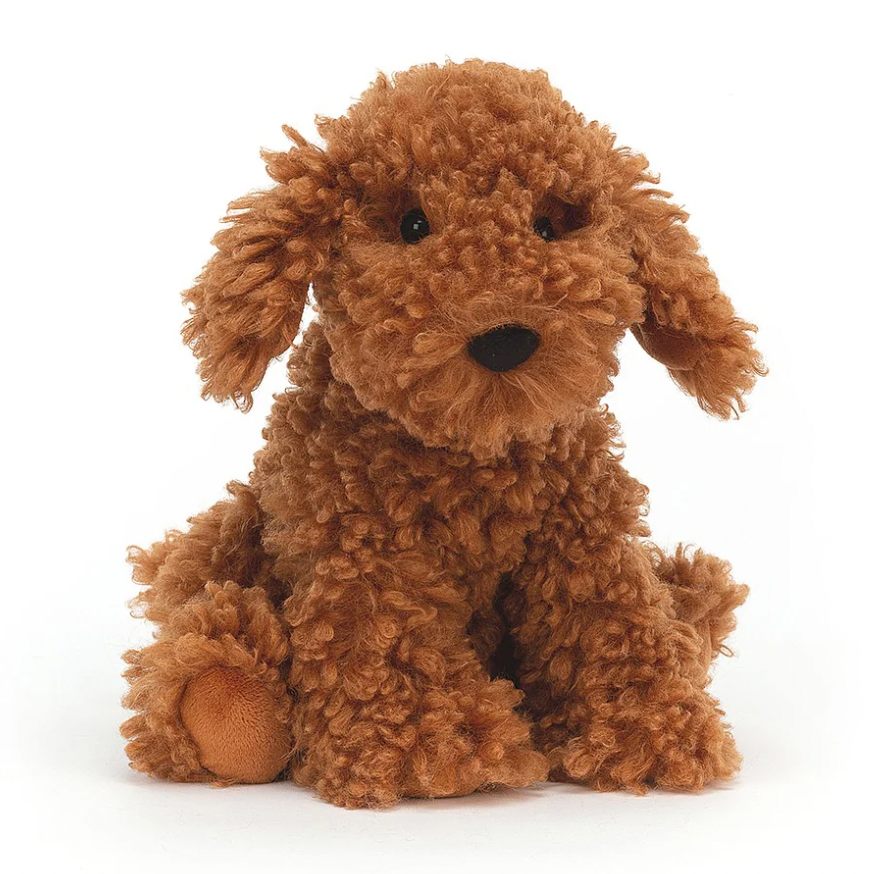 Cooper Labradoodle Pup