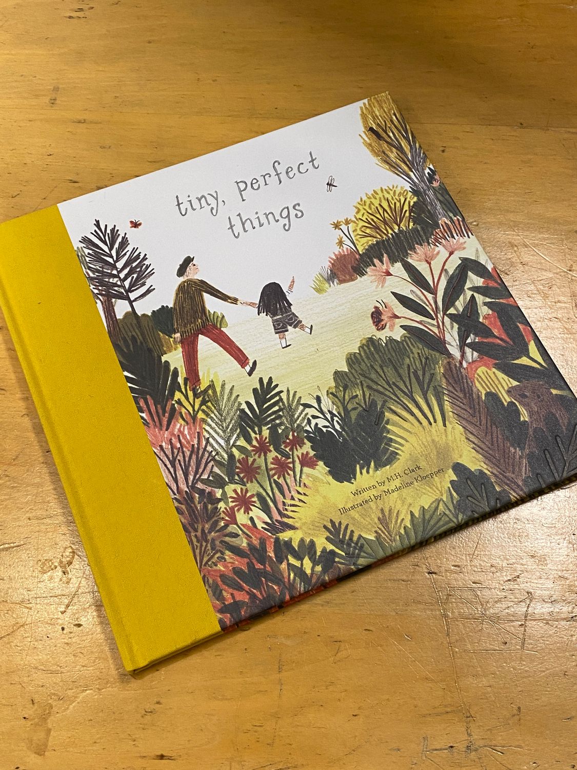 Tiny Perfect Things