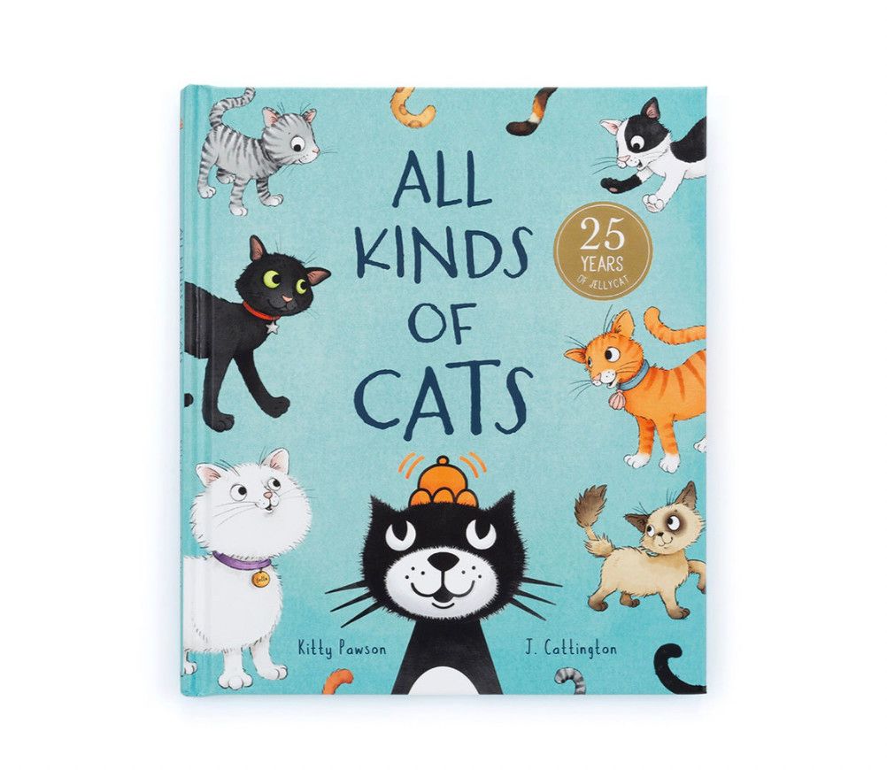 All Kinds of Cats Book