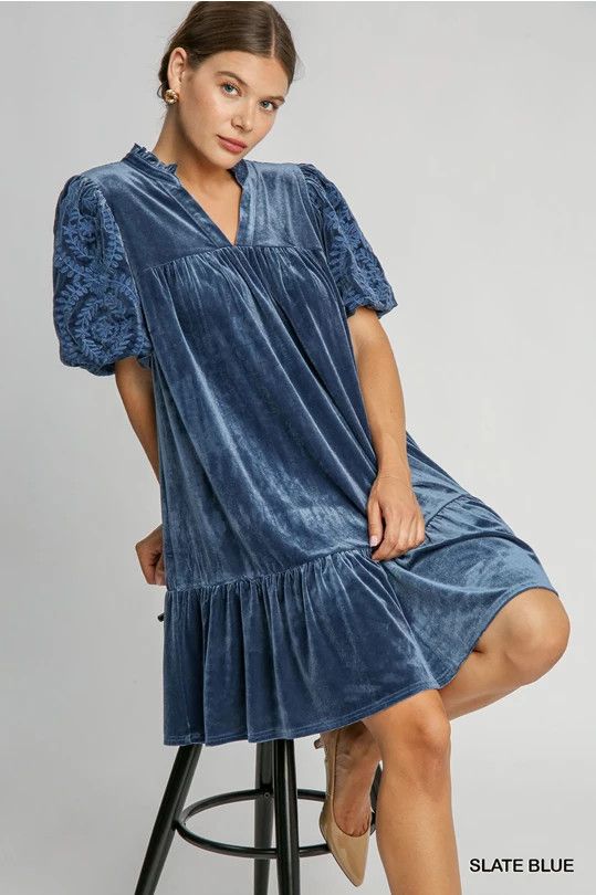 Embroidered Sleeve Velvet Dress