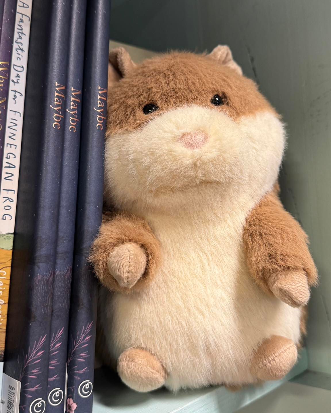 Gordy Guinea Pig