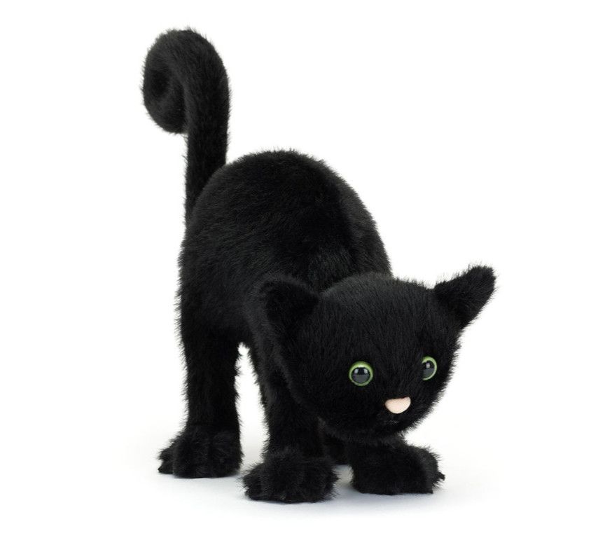 Spookipaws Cat