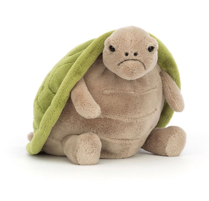 Timmy Turtle