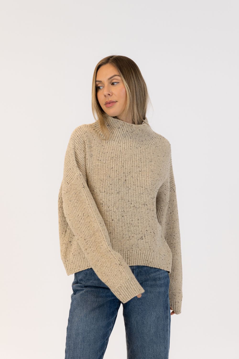 🇨🇦 Evolet Fleck Mock Neck Sweater