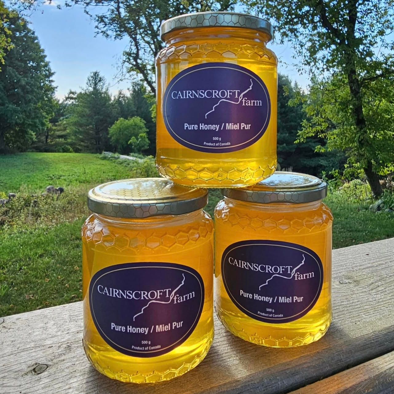 🇨🇦 Pure Honey, 500g