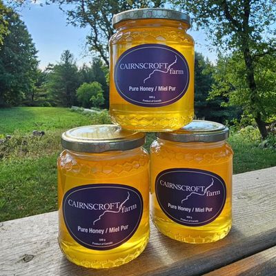🇨🇦 Pure Honey, 500g